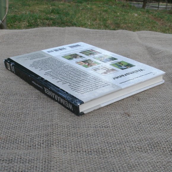 Weimaraner A Comprehensive Guide Dog Book - Picture 6 of 16